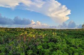Excellent Plot of land for sale in Cat Island Bahamas Excellent Plot of land for sale in Cat Island Bahamas