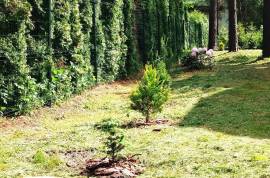 House & Land To Develop for sale in Jurmala Latvia