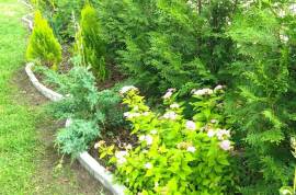 House & Land To Develop for sale in Jurmala Latvia