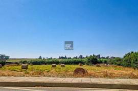 Shared field in Acheritou, Famagusta