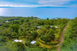 Vakanananu Retreat For Sale in Matei Taveuni Island