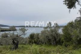 Agricultural 6250 sq.m for sale Agricultural 6250 sq.m for sale