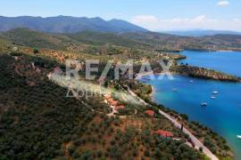Agricultural 6250 sq.m for sale Agricultural 6250 sq.m for sale