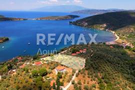 Agricultural 6250 sq.m for sale Agricultural 6250 sq.m for sale