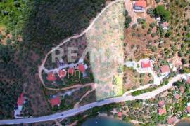 Agricultural 6250 sq.m for sale Agricultural 6250 sq.m for sale