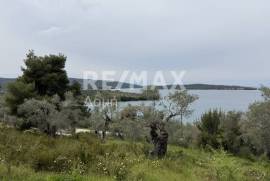 Agricultural 6250 sq.m for sale Agricultural 6250 sq.m for sale