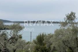 Agricultural 6250 sq.m for sale Agricultural 6250 sq.m for sale