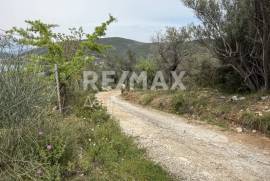 Agricultural 6250 sq.m for sale Agricultural 6250 sq.m for sale