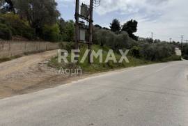 Agricultural 6250 sq.m for sale Agricultural 6250 sq.m for sale