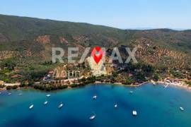 Agricultural 6250 sq.m for sale Agricultural 6250 sq.m for sale