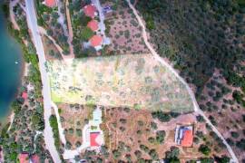 Agricultural 6250 sq.m for sale Agricultural 6250 sq.m for sale