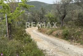 Agricultural 6250 sq.m for sale Agricultural 6250 sq.m for sale