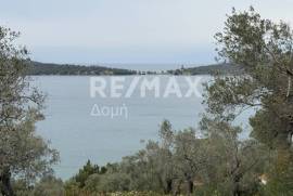 Agricultural 6250 sq.m for sale Agricultural 6250 sq.m for sale