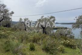 Agricultural 6250 sq.m for sale Agricultural 6250 sq.m for sale