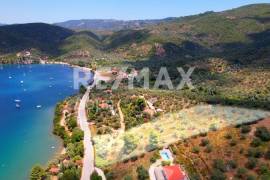 Agricultural 6250 sq.m for sale