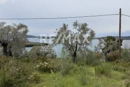 Agricultural 6250 sq.m for sale Agricultural 6250 sq.m for sale