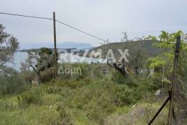Agricultural 6250 sq.m for sale Agricultural 6250 sq.m for sale