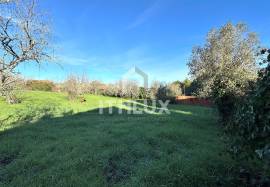 Opportunity for developers and investors: Sale of property in Fatima - close to the Sanctuary and House of the Little Shepherds Opportunity for developers and investors: Sale of property in Fatima - close to the Sanctuary and House of the Little Shepherds