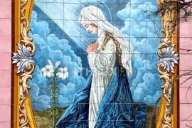 Opportunity for developers and investors: Sale of property in Fatima - close to the Sanctuary and House of the Little Shepherds Opportunity for developers and investors: Sale of property in Fatima - close to the Sanctuary and House of the Little Shepherds
