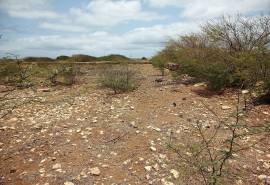 Excellent Plots of land for sale in Maio Cape Verde Excellent Plots of land for sale in Maio Cape Verde