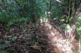 Excellent Estate with 2 Cottages For Sale in La Fargue Saint Lucia