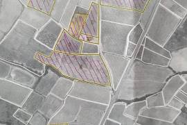A Hobby Or Change Of Life? 10 Hectares 60 Of Vines On The Same Site, Offering Different Grape Varieties. A Hobby Or Change Of Life? 10 Hectares 60 Of Vines On The Same Site, Offering Different Grape Varieties.