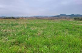 A Hobby Or Change Of Life? 10 Hectares 60 Of Vines On The Same Site, Offering Different Grape Varieties. A Hobby Or Change Of Life? 10 Hectares 60 Of Vines On The Same Site, Offering Different Grape Varieties.