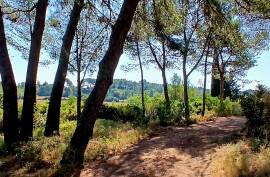 Unique Villa With 220 M2 Of Living Space On An Exceptional Plot Of 11651 M2 In The Heart Of The Garrigue, With Breathtaking Panoramic Views And At Walking Distance From The River.