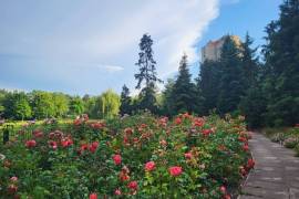 Ready to move: Furnished Studio Apartment with Balcony next to Park Humboldthain