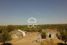 Farm Vidigueira
