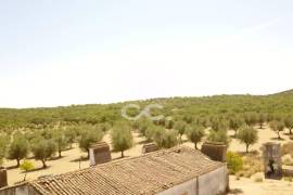 Farm Vidigueira