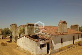 Farm Vidigueira