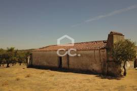 Farm Vidigueira