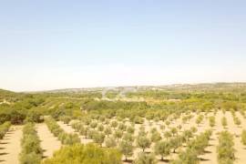 Farm Vidigueira