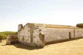 Farm Vidigueira