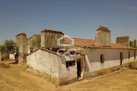 Farm Vidigueira