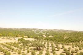 Farm Vidigueira
