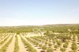 Farm Vidigueira