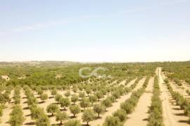 Farm Vidigueira