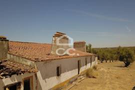 Farm Vidigueira