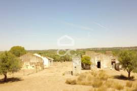 Farm Vidigueira