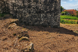 Ruin Vouzela