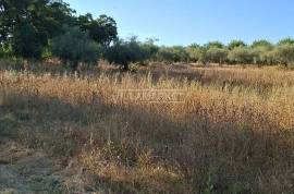 Land Ferreira do Alentejo Rato Land Ferreira do Alentejo Rato