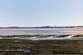 Prestigious Villa Plots at Palmares Prestigious Villa Plots at Palmares