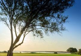 Prestigious Villa Plots at Palmares Prestigious Villa Plots at Palmares