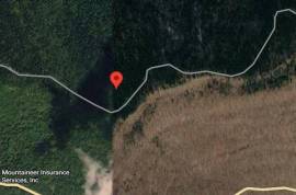 Excellent Plot of land for sale in Thorny Flat Snowshoe, WV USA