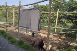 Stunning 2 Bed Irish Cottage For Sale In Foxford County Mayo Ireland Stunning 2 Bed Irish Cottage For Sale In Foxford County Mayo Ireland