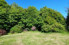 Stunning 2 Bed Irish Cottage For Sale In Foxford County Mayo Ireland Stunning 2 Bed Irish Cottage For Sale In Foxford County Mayo Ireland