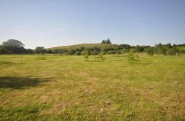 Stunning 2 Bed Irish Cottage For Sale In Foxford County Mayo Ireland Stunning 2 Bed Irish Cottage For Sale In Foxford County Mayo Ireland
