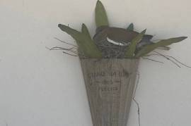 2 Bed Condo for Sale in Orchid Bay Resort Chunox Village Belize